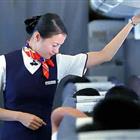 航空服務（票務、安檢方向）、航空乘務定向委培